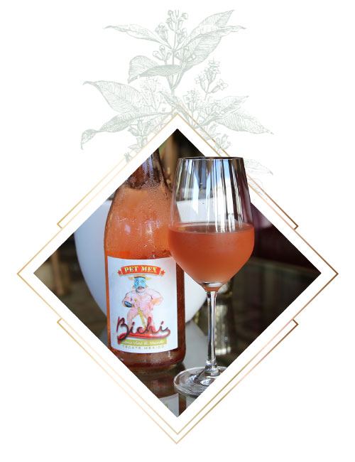 Latin wine
