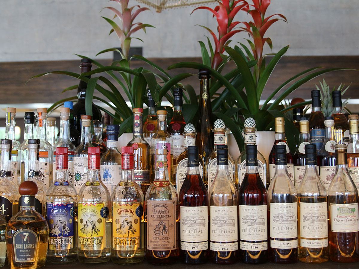 tropical deco bar with liquor bottles
